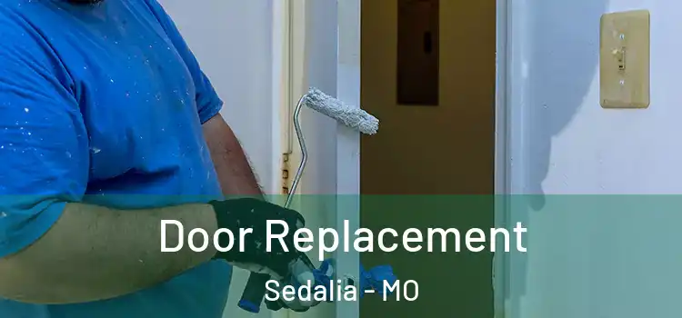  Door Replacement Sedalia - MO