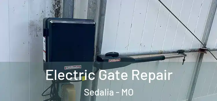 Electric Gate Repair Sedalia - MO
