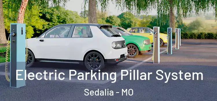  Electric Parking Pillar System Sedalia - MO
