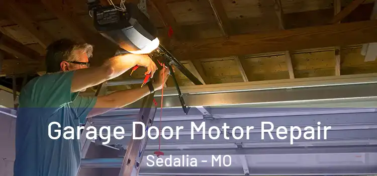 Garage Door Motor Repair Sedalia - MO