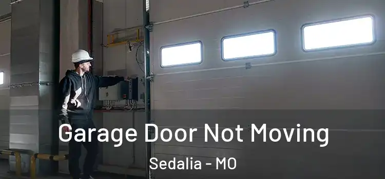  Garage Door Not Moving Sedalia - MO