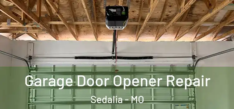  Garage Door Opener Repair Sedalia - MO