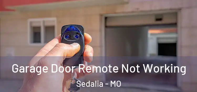  Garage Door Remote Not Working Sedalia - MO
