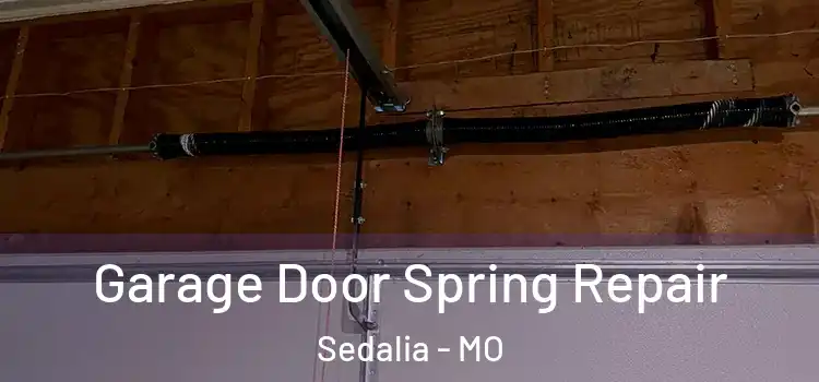  Garage Door Spring Repair Sedalia - MO