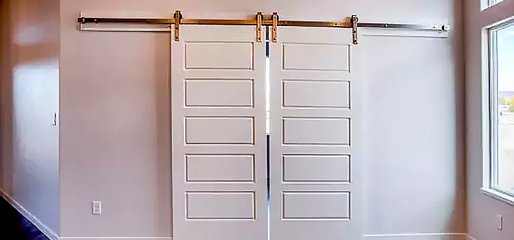Glass Barn Door with Installation Hardware Kit Sedalia