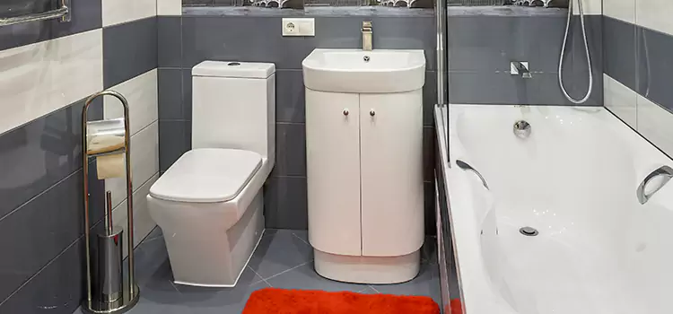 Hansgrohe Shaving Mirror Sedalia