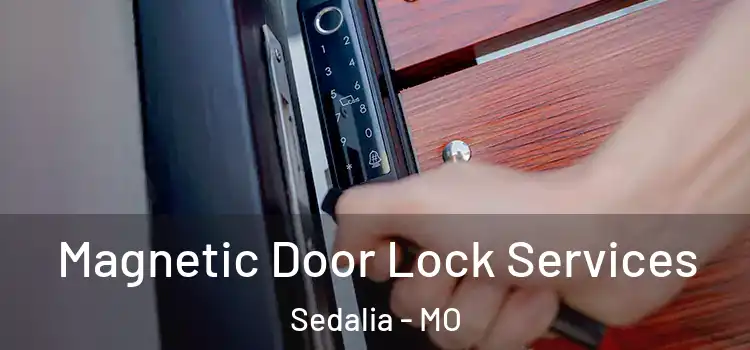 Magnetic Door Lock Services Sedalia - MO